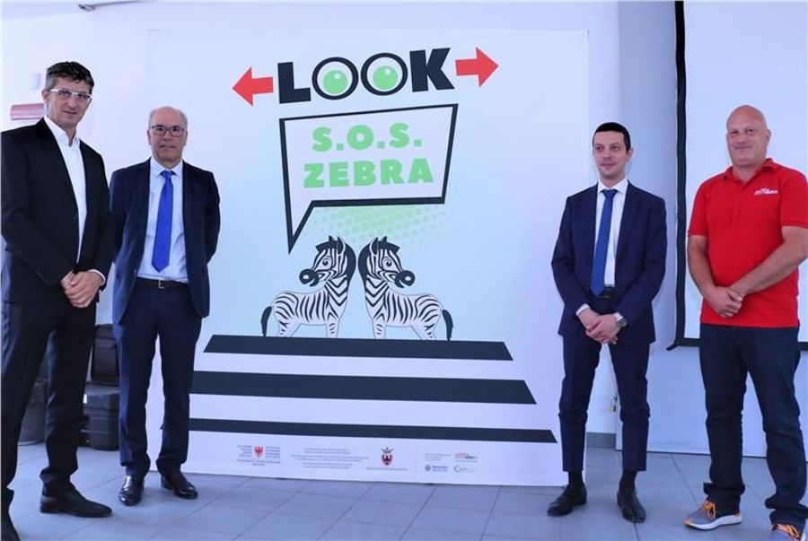 S.O.S. Zebra: Neues Sujet vorgestellt