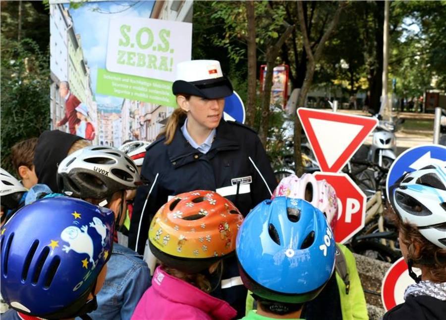 S.O.S. Zebra - Kampagne geht weiter