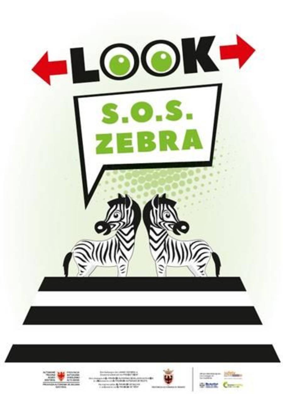 S.O.S Zebra